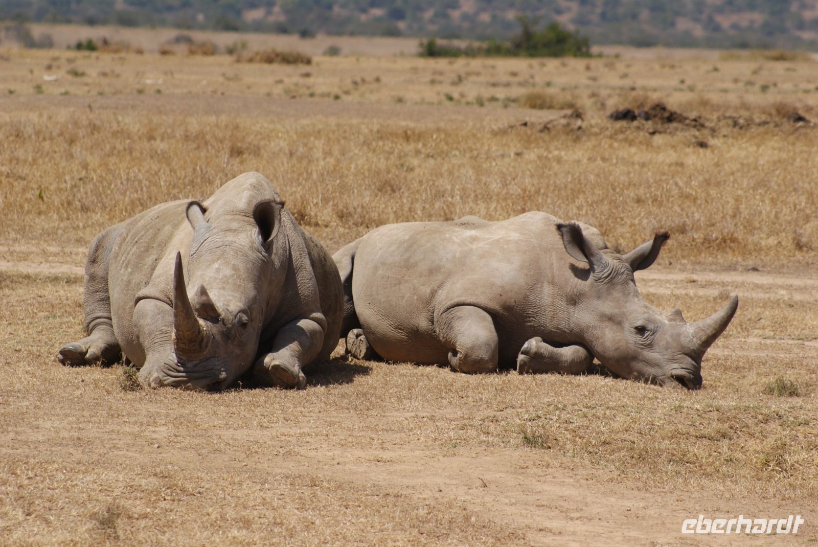 62 Solio Reservat &ndash; &copy; Susanne Schirmann (Eberhardt TRAVEL)