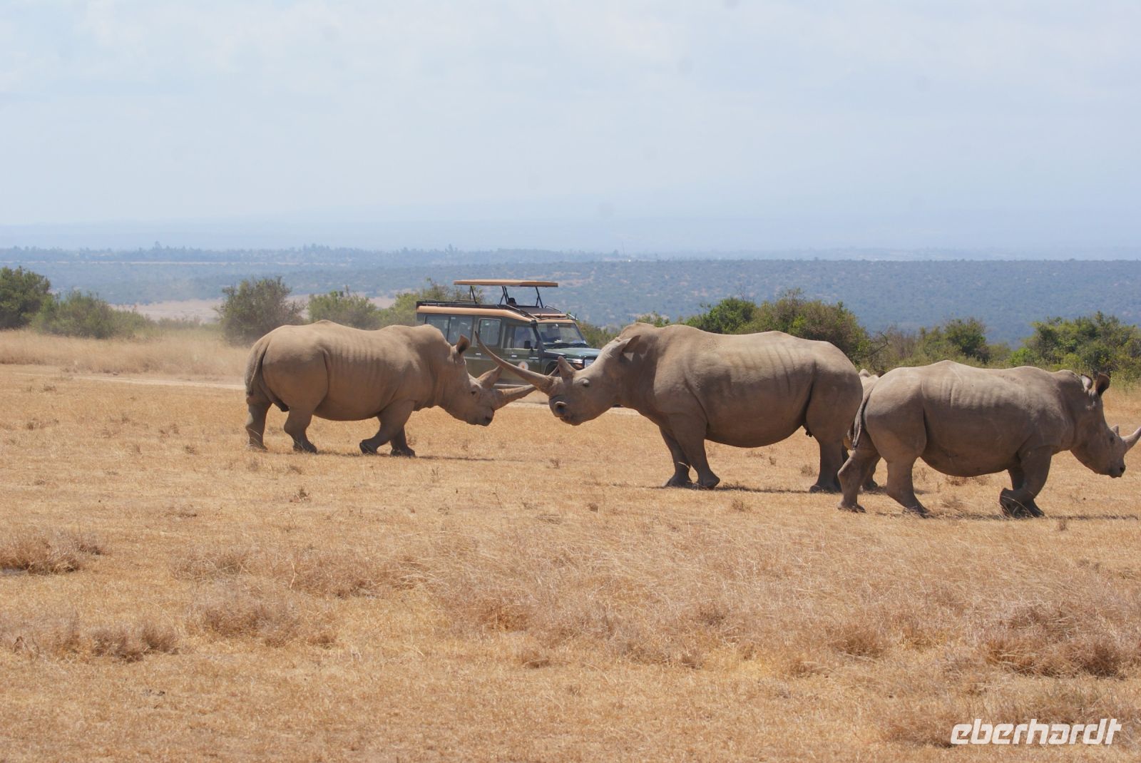 65 Solio Reservat &ndash; &copy; Susanne Schirmann (Eberhardt TRAVEL)