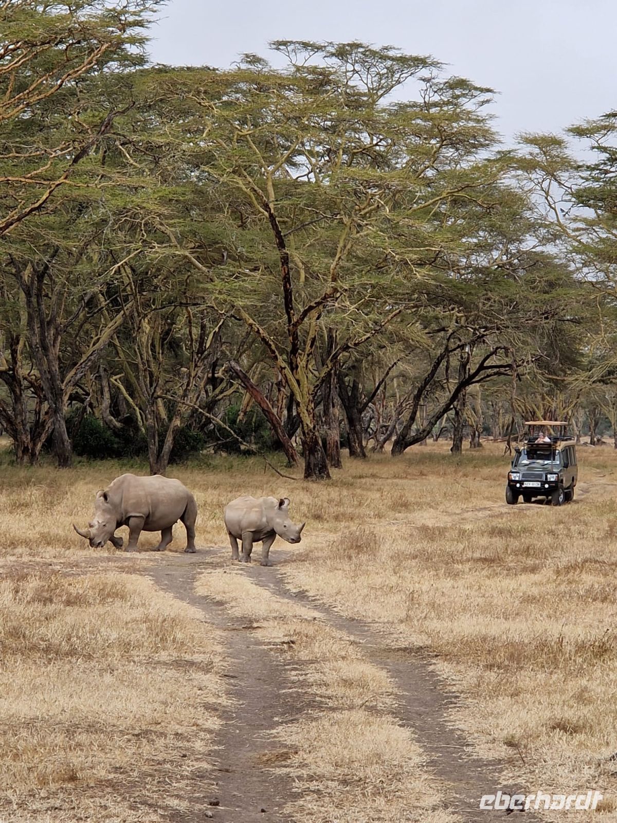 70  Solio Reservat &ndash; &copy; Susanne Schirmann (Eberhardt TRAVEL)