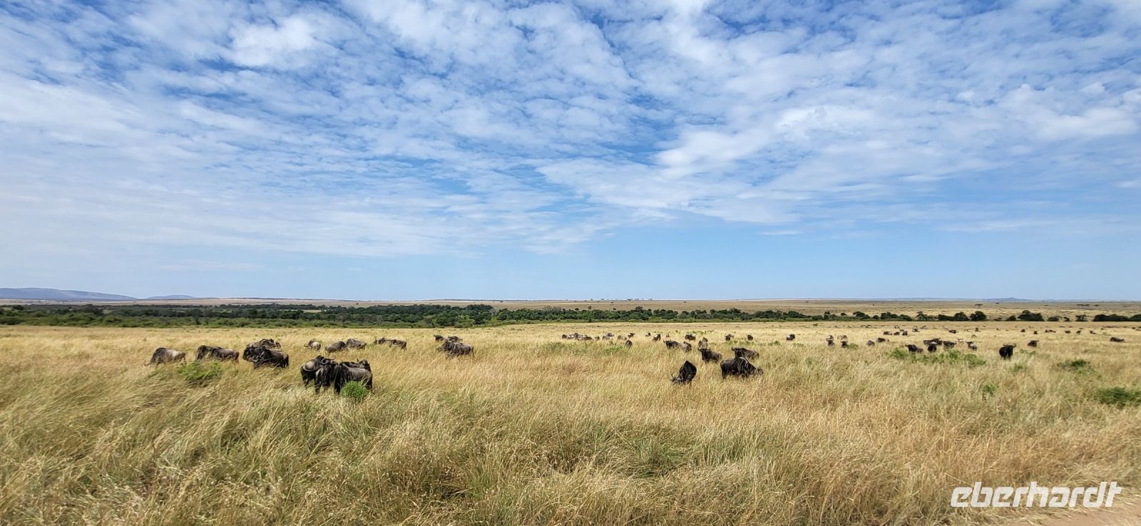 183 Masai Mara &ndash; &copy; Susanne Schirmann (Eberhardt TRAVEL)