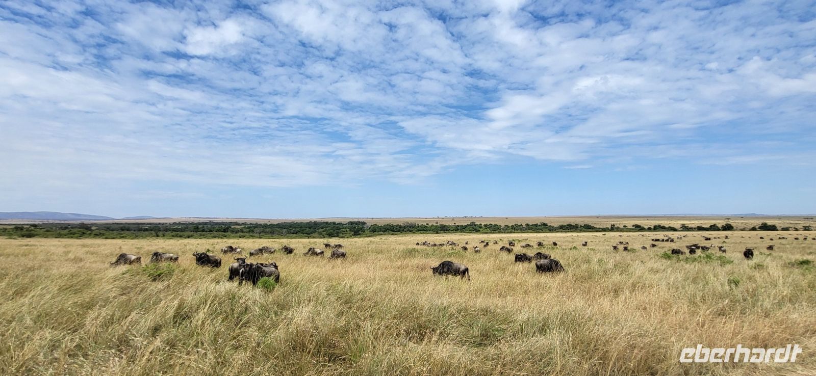 184  Masai Mara &ndash; &copy; Susanne Schirmann (Eberhardt TRAVEL)