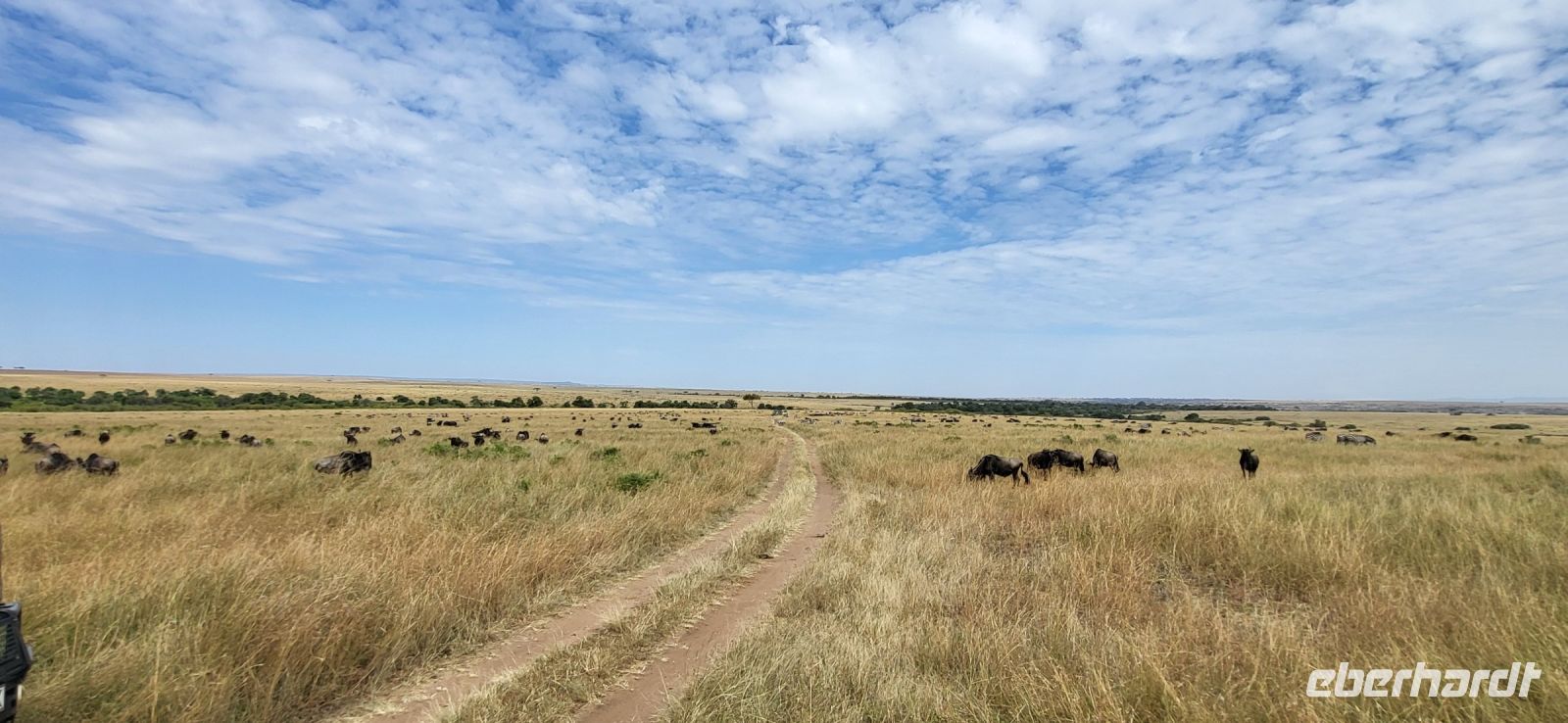185 Masai Mara &ndash; &copy; Susanne Schirmann (Eberhardt TRAVEL)
