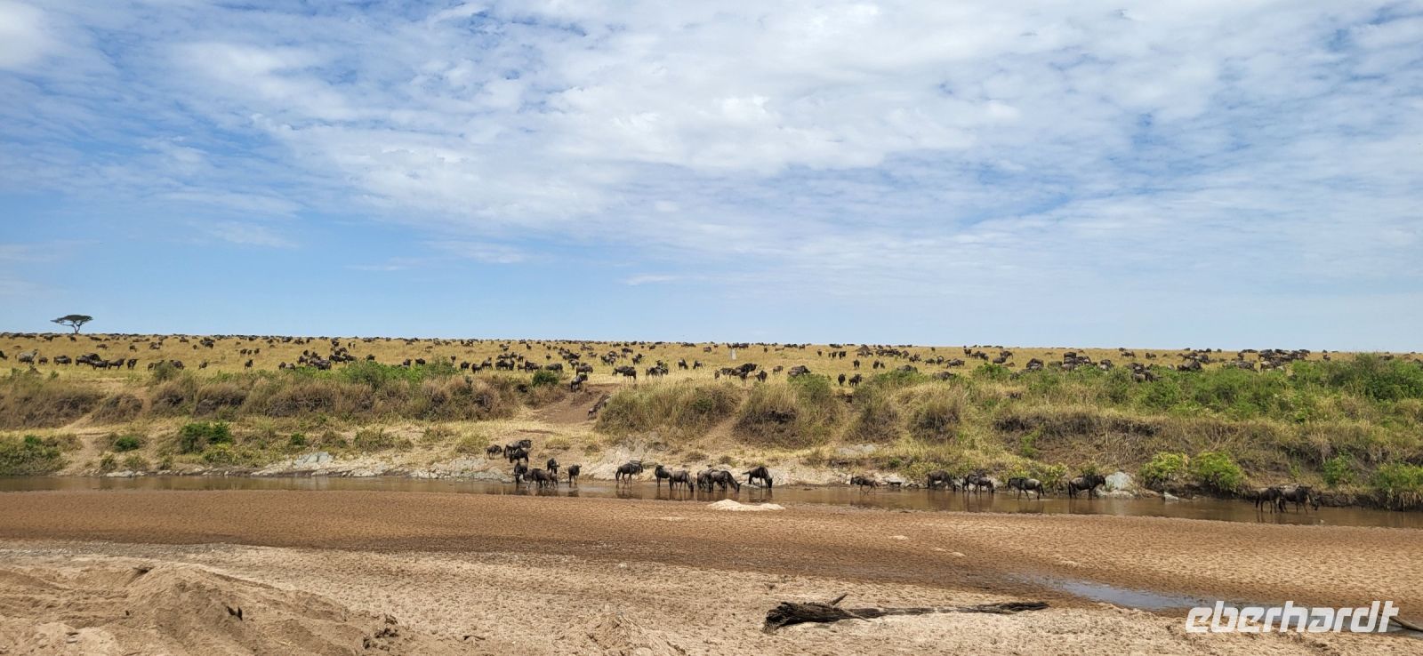 186 Masai Mara &ndash; &copy; Susanne Schirmann (Eberhardt TRAVEL)