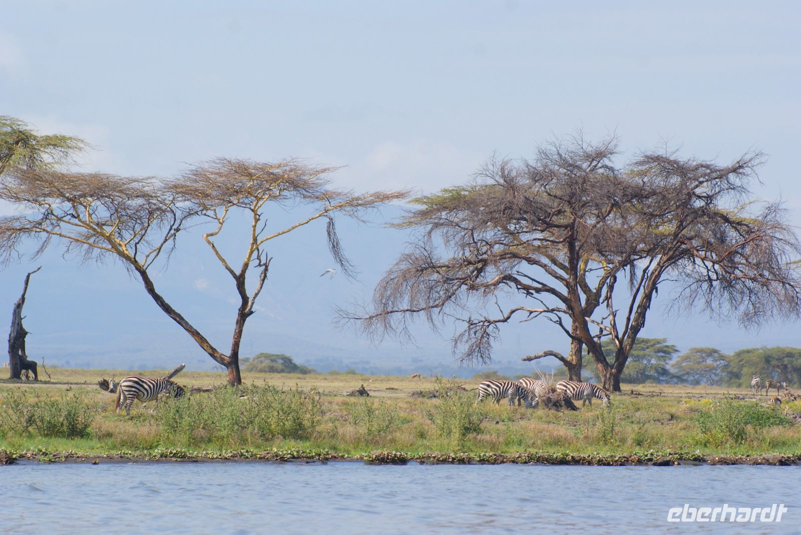 255 Crescent Island &ndash; &copy; Susanne Schirmann (Eberhardt TRAVEL)