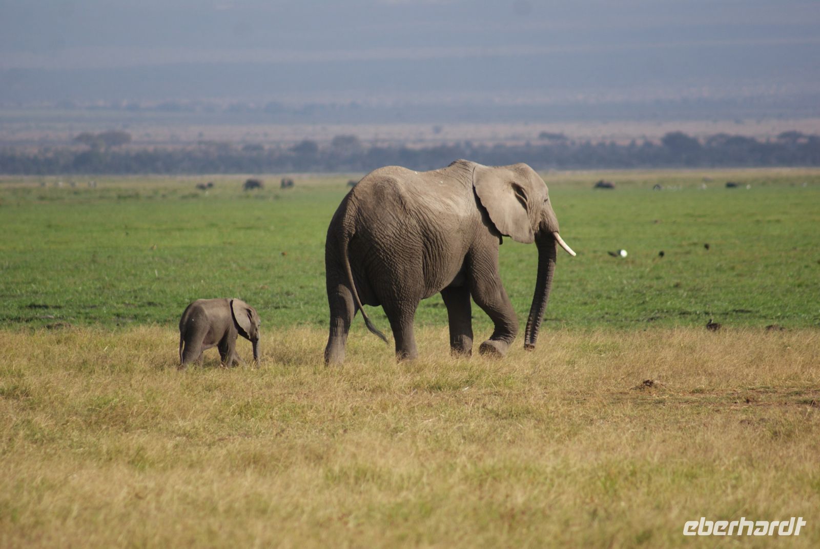 344 Familie &ndash; &copy; Susanne Schirmann (Eberhardt TRAVEL)