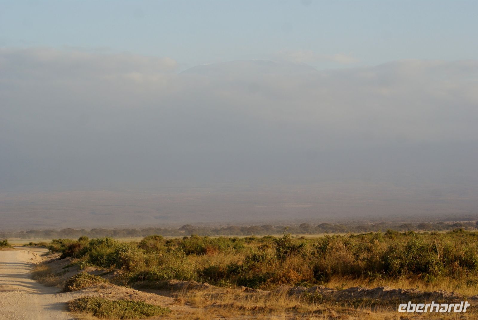 352 Kilimandscharo &ndash; &copy; Susanne Schirmann (Eberhardt TRAVEL)
