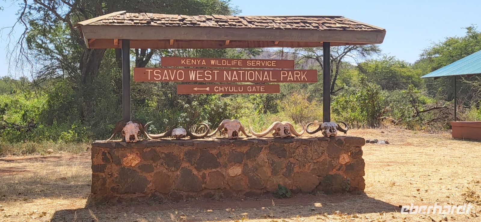 365 Safari &ndash; &copy; Susanne Schirmann (Eberhardt TRAVEL)