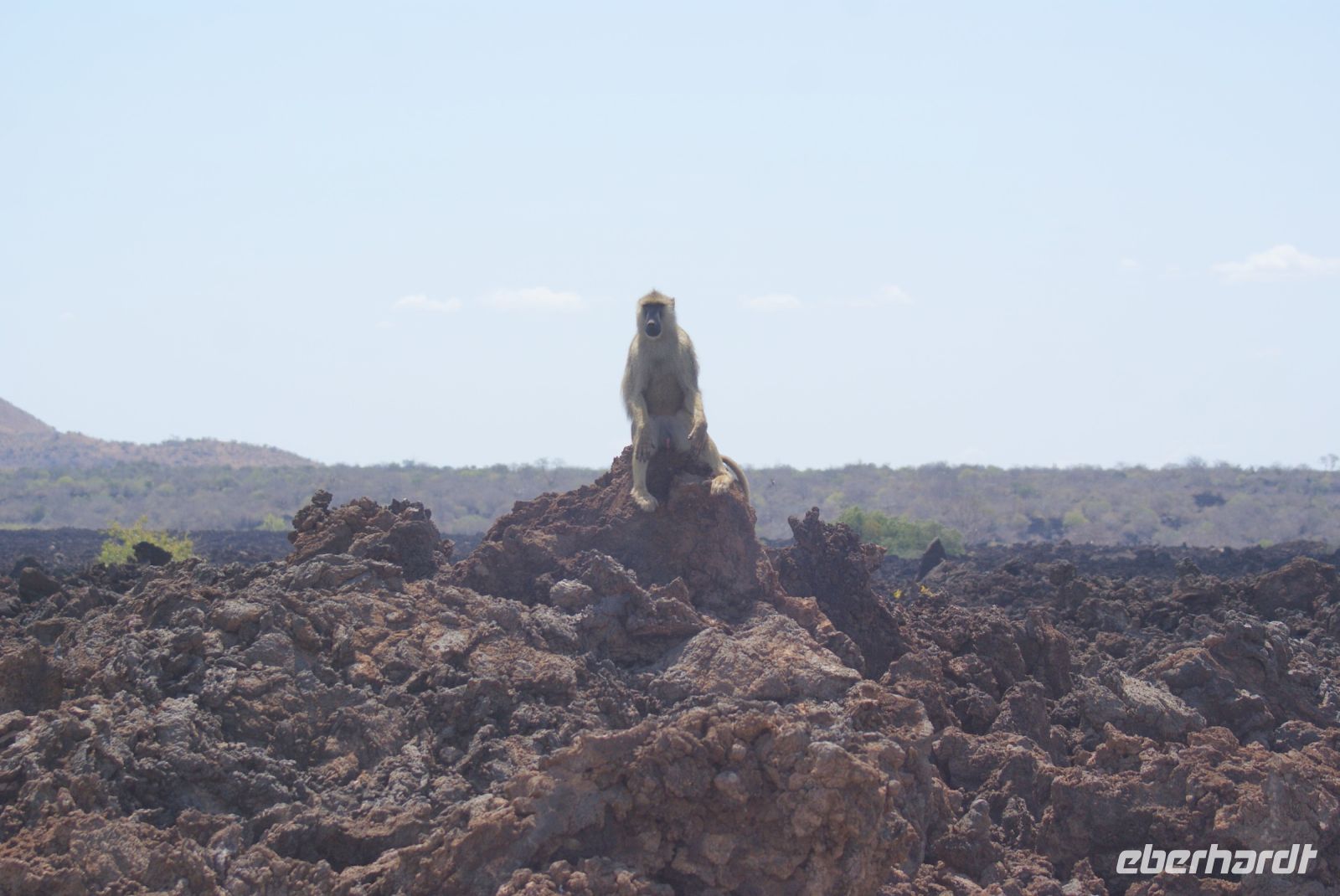 370 Shentani Lavafeld &ndash; &copy; Susanne Schirmann (Eberhardt TRAVEL)
