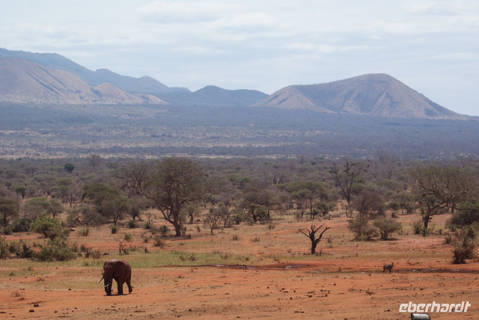 372 Ausblick unserer Lodge &ndash; &copy; Susanne Schirmann (Eberhardt TRAVEL)