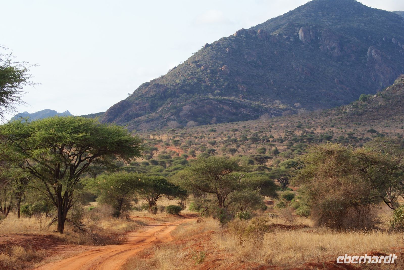 403 Landschaft Tsavo West &ndash; &copy; Susanne Schirmann (Eberhardt TRAVEL)