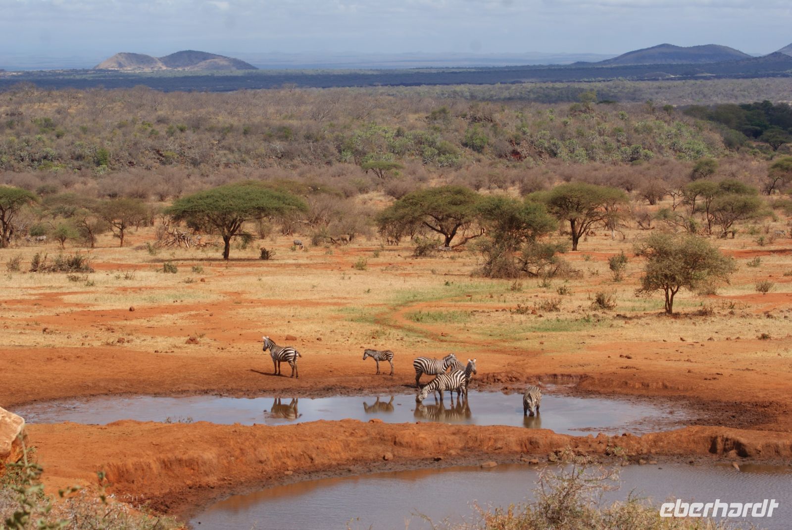 415 Wasserloch Kilanguni Lodge &ndash; &copy; Susanne Schirmann (Eberhardt TRAVEL)