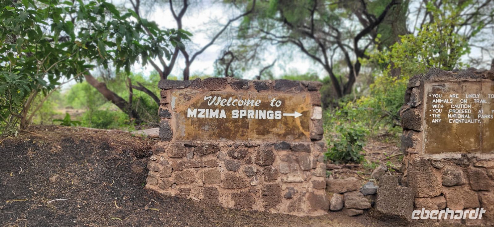 456 Mzima Springs &ndash; &copy; Susanne Schirmann (Eberhardt TRAVEL)