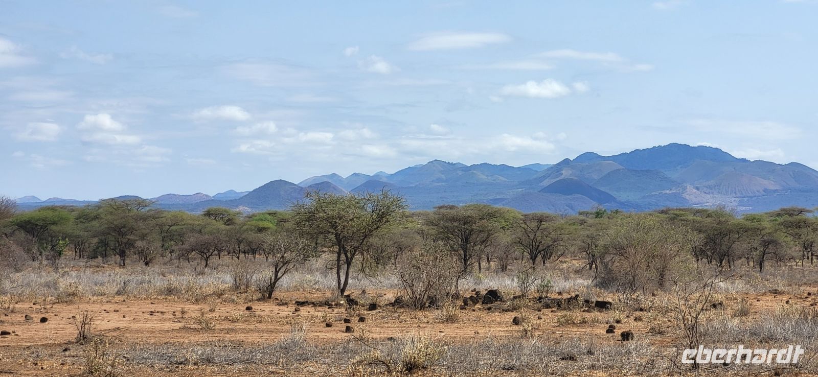 471 Tsavo West &ndash; &copy; Susanne Schirmann (Eberhardt TRAVEL)