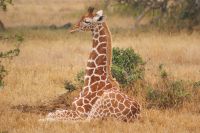 21 Solio Rhino Sanctuary &ndash; &copy; Susanne Schirmann (Eberhardt TRAVEL)