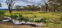 29 Solio Rhino Sanctuary &ndash; &copy; Susanne Schirmann (Eberhardt TRAVEL)