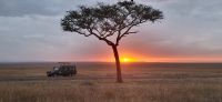 179 Sonnenaufgang in der Masai Mara &ndash; &copy; Susanne Schirmann (Eberhardt TRAVEL)