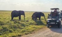 342 einmalige Begegnungen &ndash; &copy; Susanne Schirmann (Eberhardt TRAVEL)