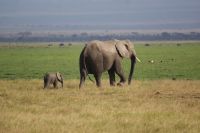344 Familie &ndash; &copy; Susanne Schirmann (Eberhardt TRAVEL)
