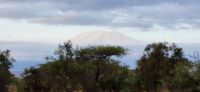 357 Kilimandscharo &ndash; &copy; Susanne Schirmann (Eberhardt TRAVEL)