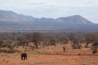 372 Ausblick unserer Lodge &ndash; &copy; Susanne Schirmann (Eberhardt TRAVEL)