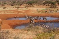 407 Wasserloch Kilanguni Lodge &ndash; &copy; Susanne Schirmann (Eberhardt TRAVEL)