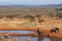 411 Wasserloch Kilanguni Lodge &ndash; &copy; Susanne Schirmann (Eberhardt TRAVEL)