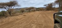 453 Elefantenspuren Tsavo West &ndash; &copy; Susanne Schirmann (Eberhardt TRAVEL)