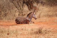 474 fertig &ndash; &copy; Susanne Schirmann (Eberhardt TRAVEL)