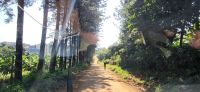 04 Besuch Kaffeefarm Fairview Estate &ndash; &copy; Susanne Schirmann (Eberhardt TRAVEL)