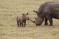 31 Nachwuchs &ndash; &copy; Susanne Schirmann (Eberhardt TRAVEL)