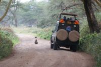 67 wer beobachtet wen &ndash; &copy; Susanne Schirmann (Eberhardt TRAVEL)