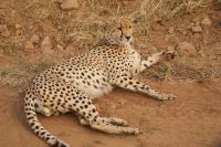 111 unvergesslich &ndash; &copy; Susanne Schirmann (Eberhardt TRAVEL)