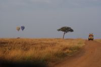 123 Morgenstimmung Masai Mara &ndash; &copy; Susanne Schirmann (Eberhardt TRAVEL)