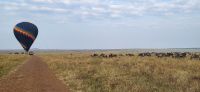 152 Ballonfahrten Masai Mara &ndash; &copy; Susanne Schirmann (Eberhardt TRAVEL)