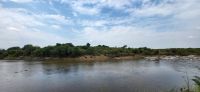 196 Masai Mara &ndash; &copy; Susanne Schirmann (Eberhardt TRAVEL)