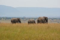 233 toller Ausklang &ndash; &copy; Susanne Schirmann (Eberhardt TRAVEL)