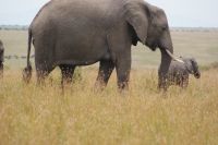 234 Abschiedskomitee &ndash; &copy; Susanne Schirmann (Eberhardt TRAVEL)