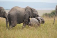 235 Familie &ndash; &copy; Susanne Schirmann (Eberhardt TRAVEL)