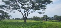267 Impressionen Crescent Island &ndash; &copy; Susanne Schirmann (Eberhardt TRAVEL)