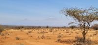 298 Sicht auf das Kilimandscharomassiv &ndash; &copy; Susanne Schirmann (Eberhardt TRAVEL)