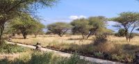 304 Blick auf den Kili &ndash; &copy; Susanne Schirmann (Eberhardt TRAVEL)
