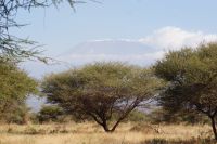306 Kilimandscharo vom Camp aus entdeckt &ndash; &copy; Susanne Schirmann (Eberhardt TRAVEL)