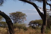 307 Kilimandscharo &ndash; &copy; Susanne Schirmann (Eberhardt TRAVEL)