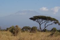 311 Kilimandscharo &ndash; &copy; Susanne Schirmann (Eberhardt TRAVEL)