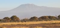 322 Kilimandscharo mit Kibo &ndash; &copy; Susanne Schirmann (Eberhardt TRAVEL)