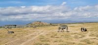 331 Amboseli Nationalpark &ndash; &copy; Susanne Schirmann (Eberhardt TRAVEL)