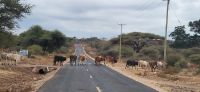 354 Unterwegs zum Tsavo West &ndash; &copy; Susanne Schirmann (Eberhardt TRAVEL)
