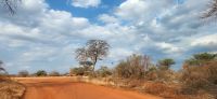 370 Tsavo West &ndash; &copy; Susanne Schirmann (Eberhardt TRAVEL)