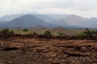 373 Lavafeld Tsavo West &ndash; &copy; Susanne Schirmann (Eberhardt TRAVEL)