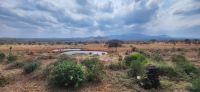 397 Wasserloch Kilaguni Lodge &ndash; &copy; Susanne Schirmann (Eberhardt TRAVEL)